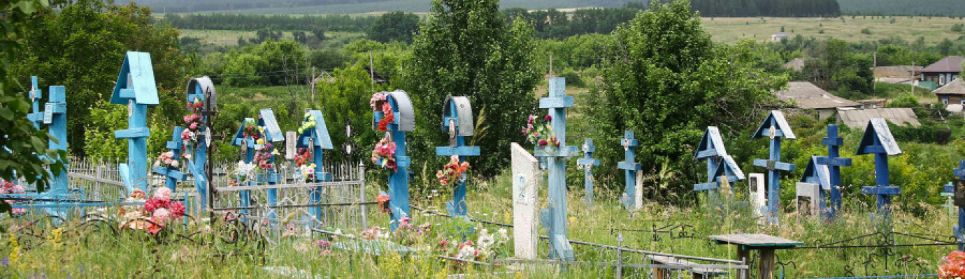 Васильевское кладбище