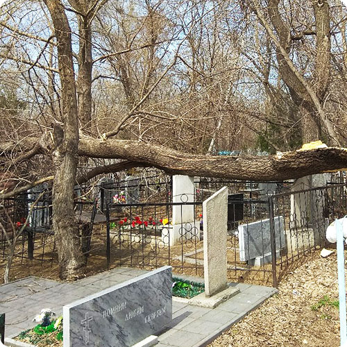 Аксессуары для благоустройства захоронений | Уборка  поваленного дерева